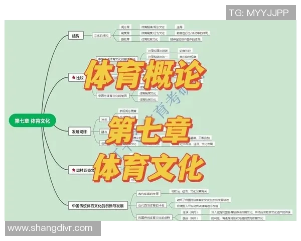 姚明明bomba的魅力与影响力探讨：从体育到文化的跨界之旅