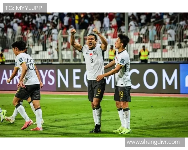 华仔足球明星队员名单揭晓他们将为荣誉而战的精彩阵容