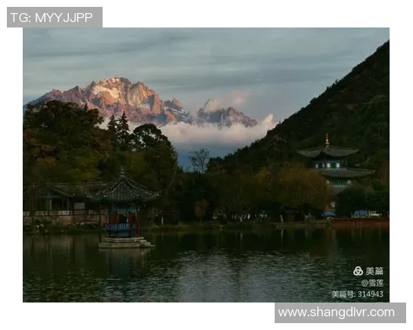 足球明星王海峰的职业生涯与成就全景回顾